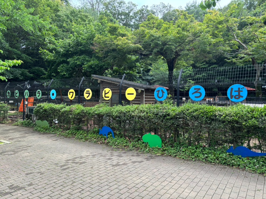 カピバラ・ワラビー広場