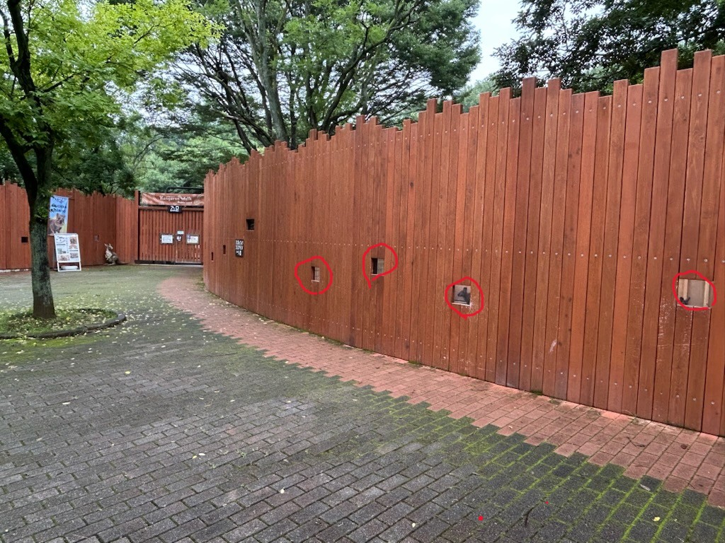ここから見えます