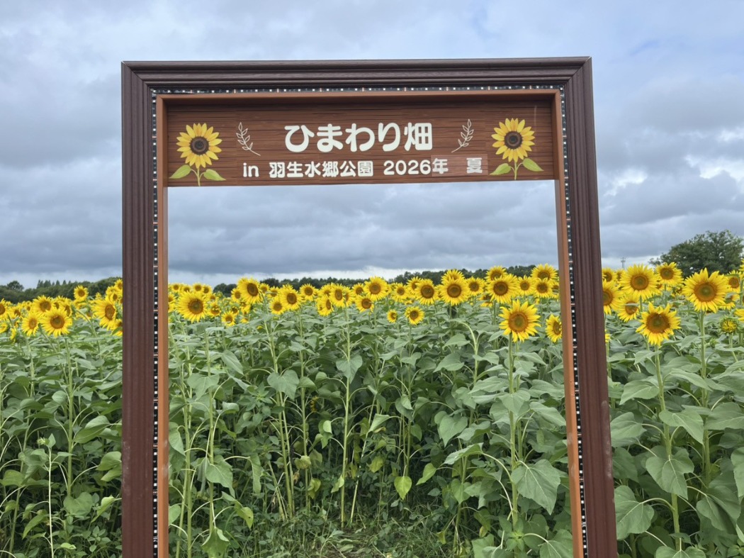 フォトスポットもあります