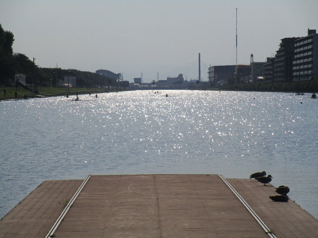 漕艇場3