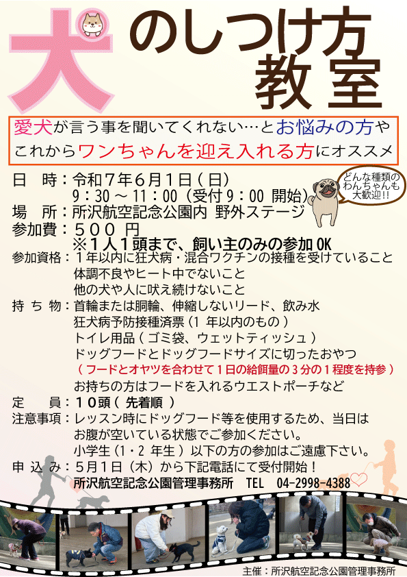 チラシ