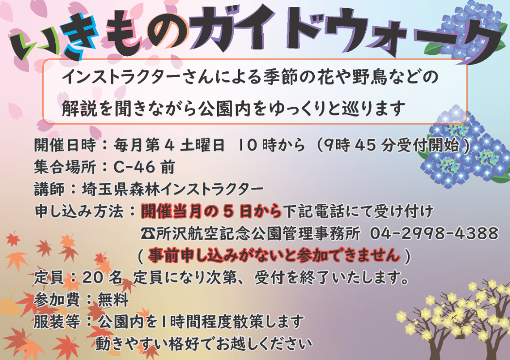 チラシ